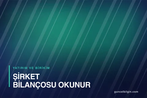 Şirket Bilançosu Nasıl Okunur? F/K ve PD/DD Oranları