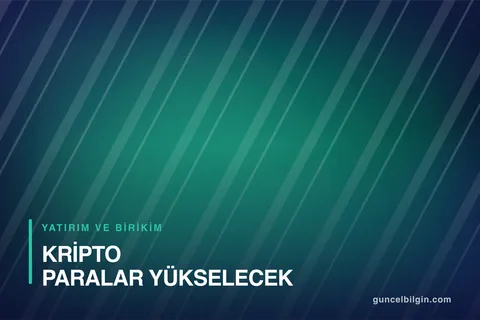 Kripto Paralar Yükselecek mi? Boğa ve Ayı Piyasası Rehberi