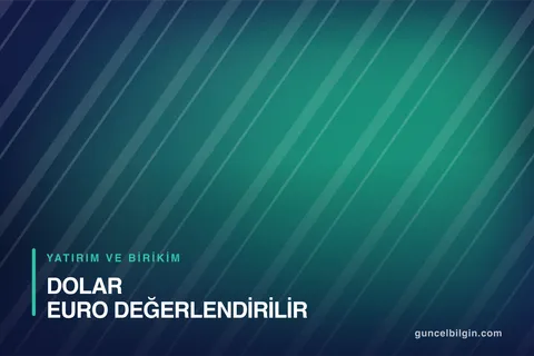Dolar ve Euro Nasıl Değerlendirilir? Döviz Birikimi Yolları