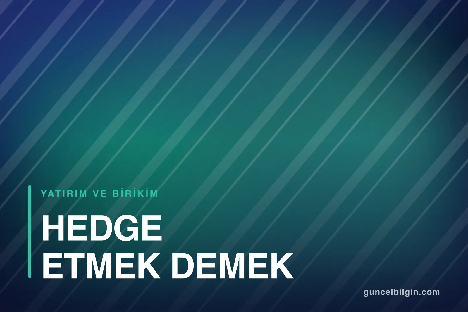Hedge Etmek Ne Demek? Portföyü Düşüşe Karşı Koruma