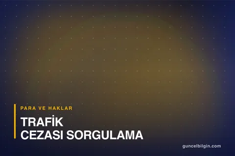 Trafik Cezası Sorgulama ve Erken Ödeme İndirimi