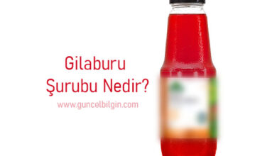 Photo of Gilaburu Şurubu Nedir? Hamilelikte Kullanılabilir Mi?
