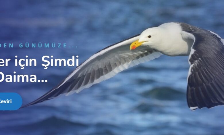 okeanos-tercume-burosu